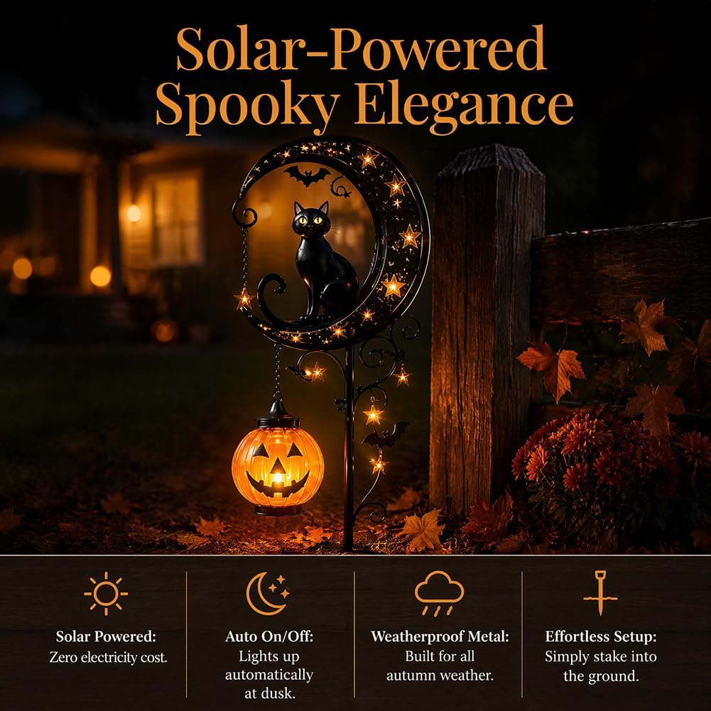 Luz Solar Decorativa para Jard - Outdoor Lighting Traditional reseña y precio