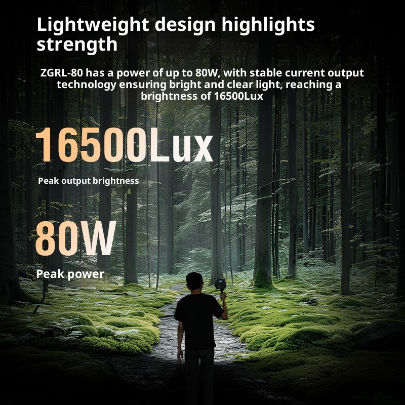 Luz LED de vídeo COB ZGRL80 de - Outdoor Lighting In Photography reseña y precio