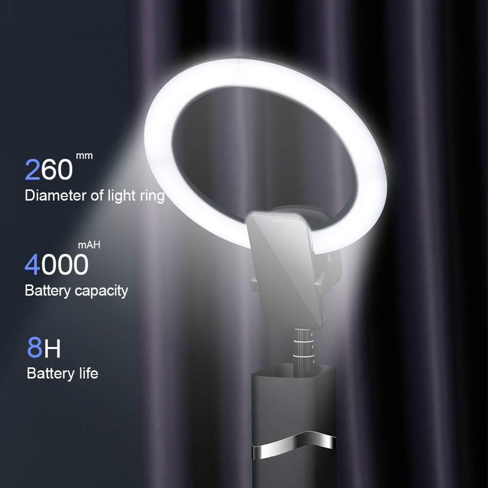 Luz de belleza en vivo al aire - Outdoor Lighting In Photography reseña y precio